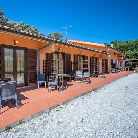 Erba Di Campo *