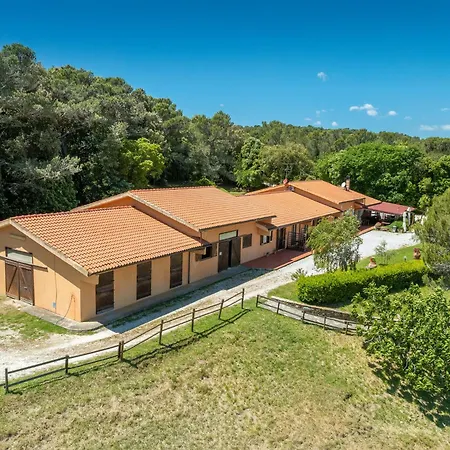 Erba Di Campo *