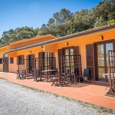 Erba Di Campo *