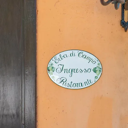 Erba Di Campo