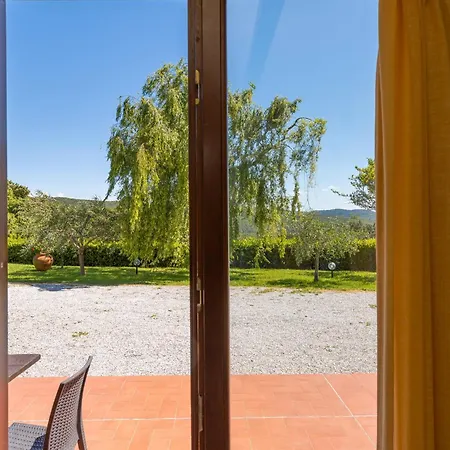 Erba Di Campo *