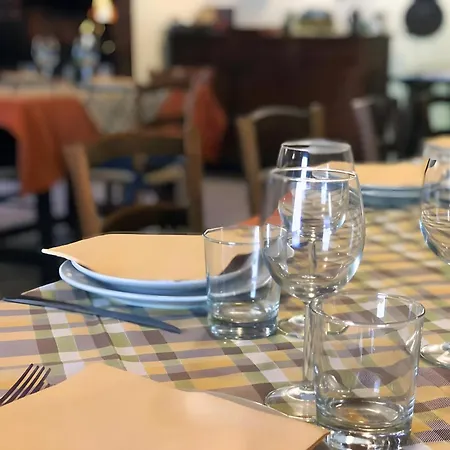 Erba Di Campo Livorno