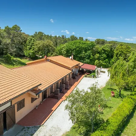 Erba Di Campo *