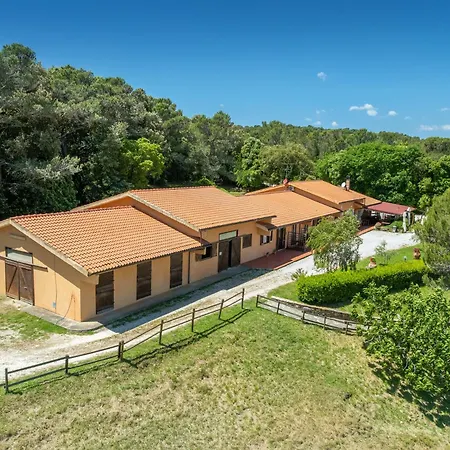 Apartment Erba Di Campo Livorno