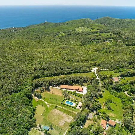Apartment Erba Di Campo