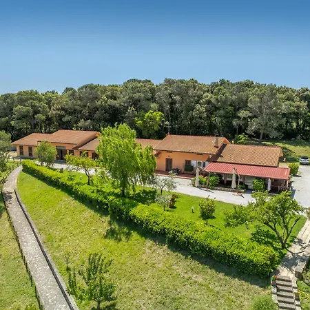 Erba Di Campo