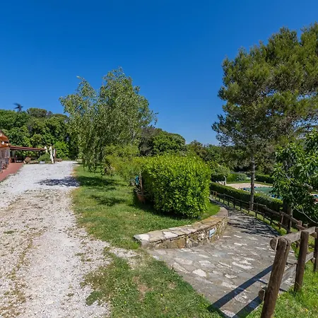 Erba Di Campo * Livorno