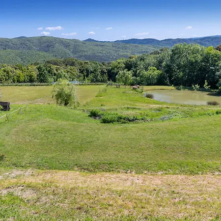 Erba Di Campo *