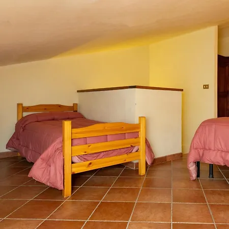 Erba Di Campo *