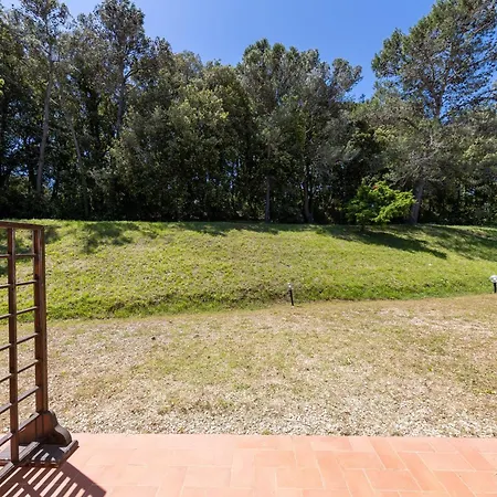 Erba Di Campo *