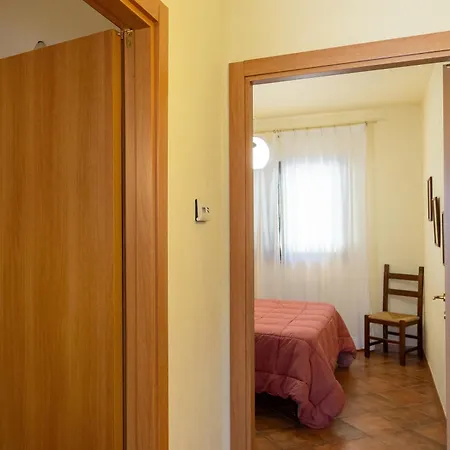 Erba Di Campo