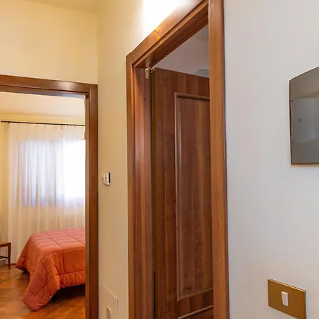 Erba Di Campo
