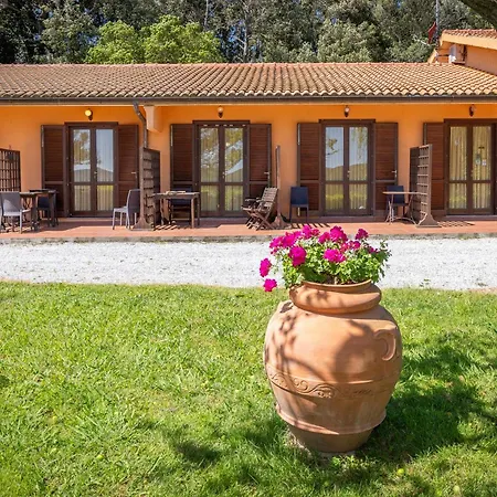 Erba Di Campo *
